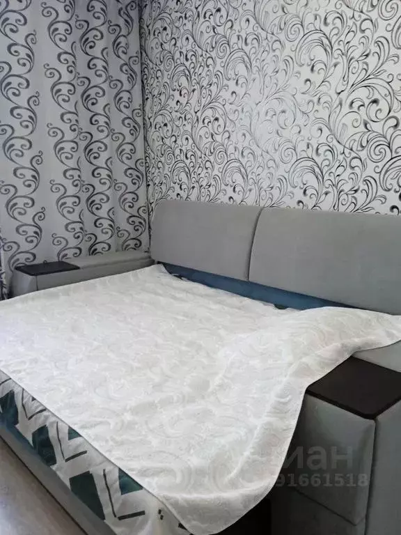 Студия Пензенская область, Пензенский район, Засечный сельсовет, с. ... - Фото 2