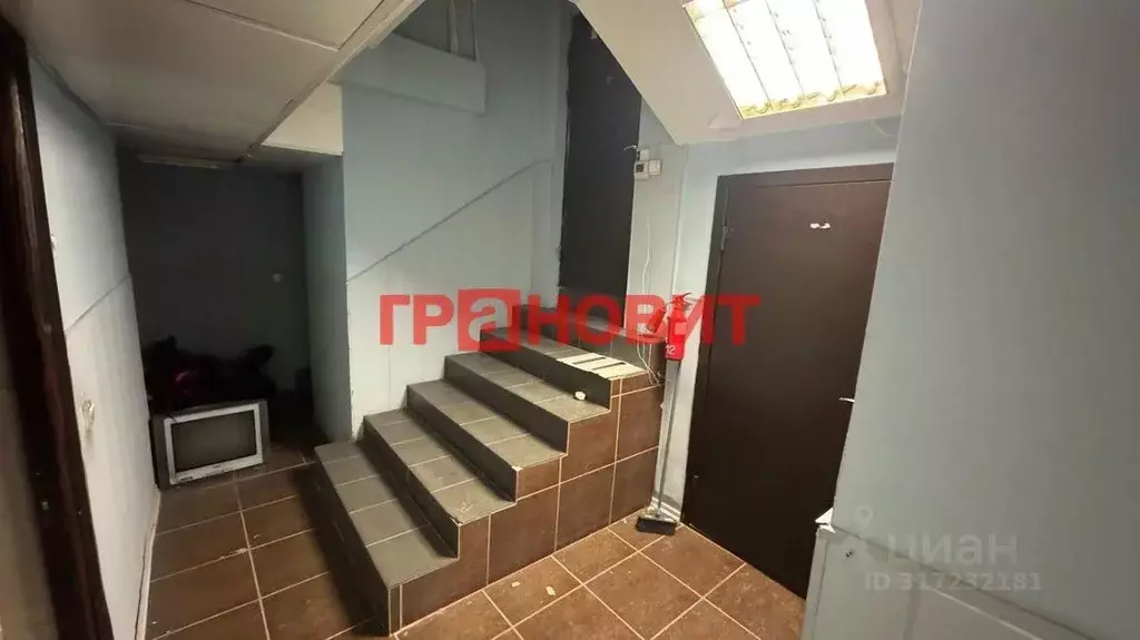 Помещение свободного назначения в Новосибирская область, Новосибирск ... - Фото 1