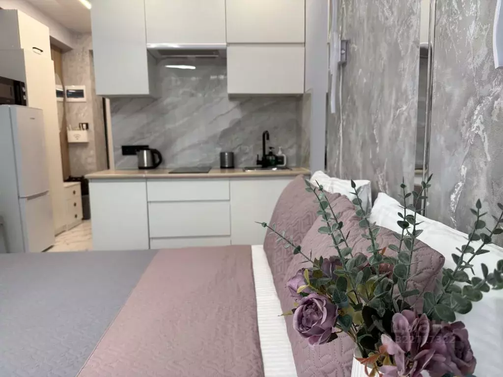 Студия Краснодарский край, Сочи ул. Полтавская, 21Ак1 (20.0 м) - Фото 1