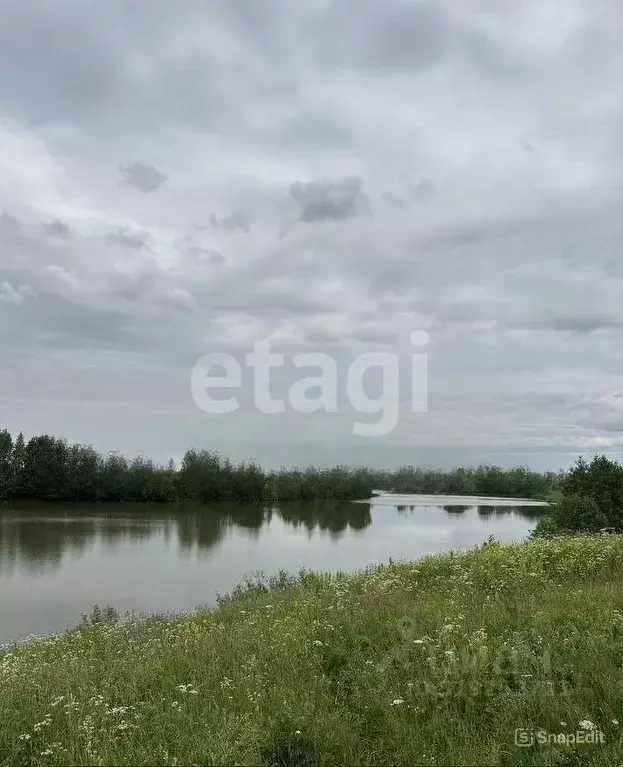 Участок в Костромская область, Костромской район, Шунгенское с/пос, с. ... - Фото 0