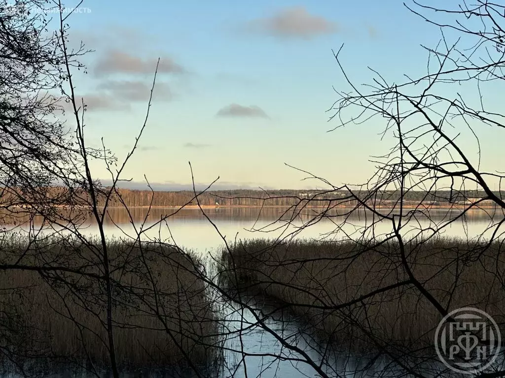 Участок в Выборгский район, Приморское городское поселение, посёлок ... - Фото 2