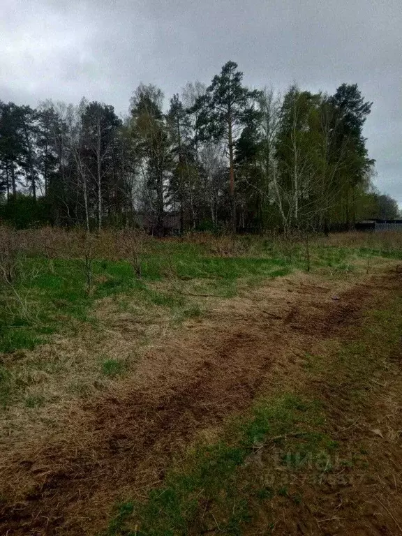 Участок в Свердловская область, Екатеринбург муниципальное ... - Фото 1