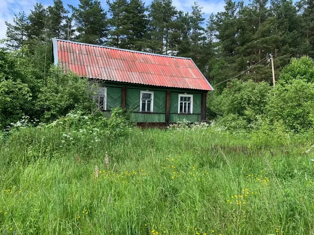 Участок в Ленинградская область, Тосненское городское поселение, с. ... - Фото 0