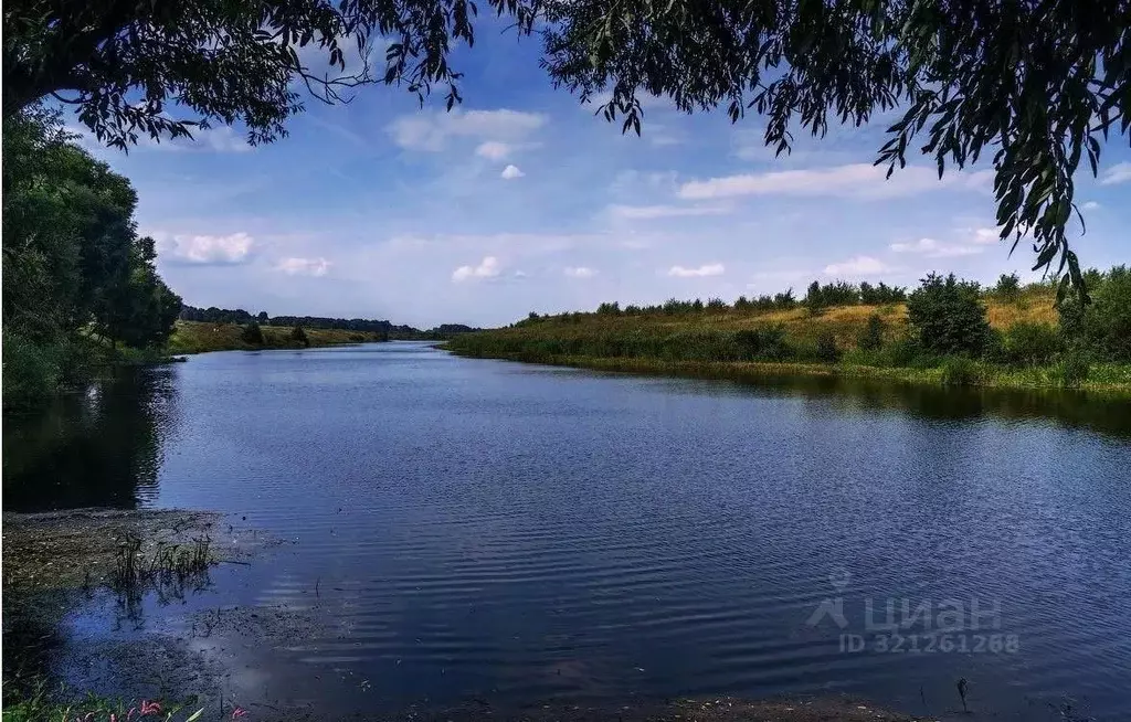 Участок в Вологодская область, Сокольский муниципальный округ, д. ... - Фото 2