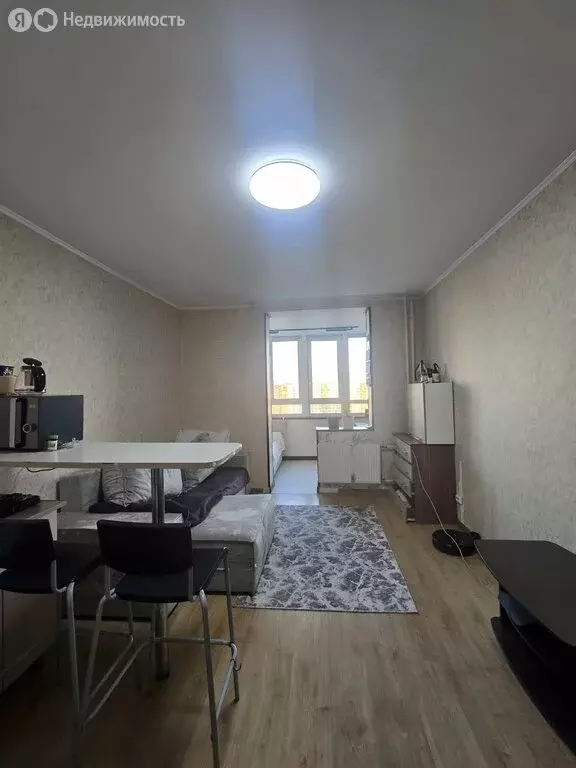 Квартира-студия: Мурино, проспект Авиаторов Балтики, 17 (21.8 м) - Фото 2