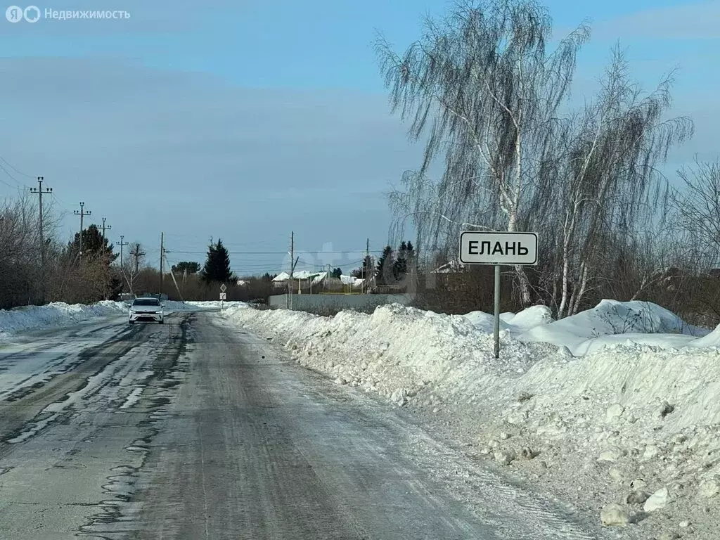 Участок в Тюменский муниципальный округ, деревня Елань, Лесная улица ... - Фото 2