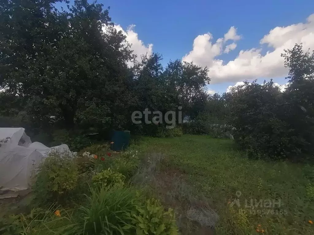 Участок в Нижегородская область, Выкса Труд садовые участки, 334 (6.0 ... - Фото 1