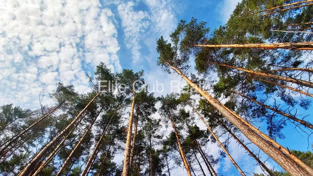 Участок в Зеленогорск, Курортная улица (18 м) - Фото 1