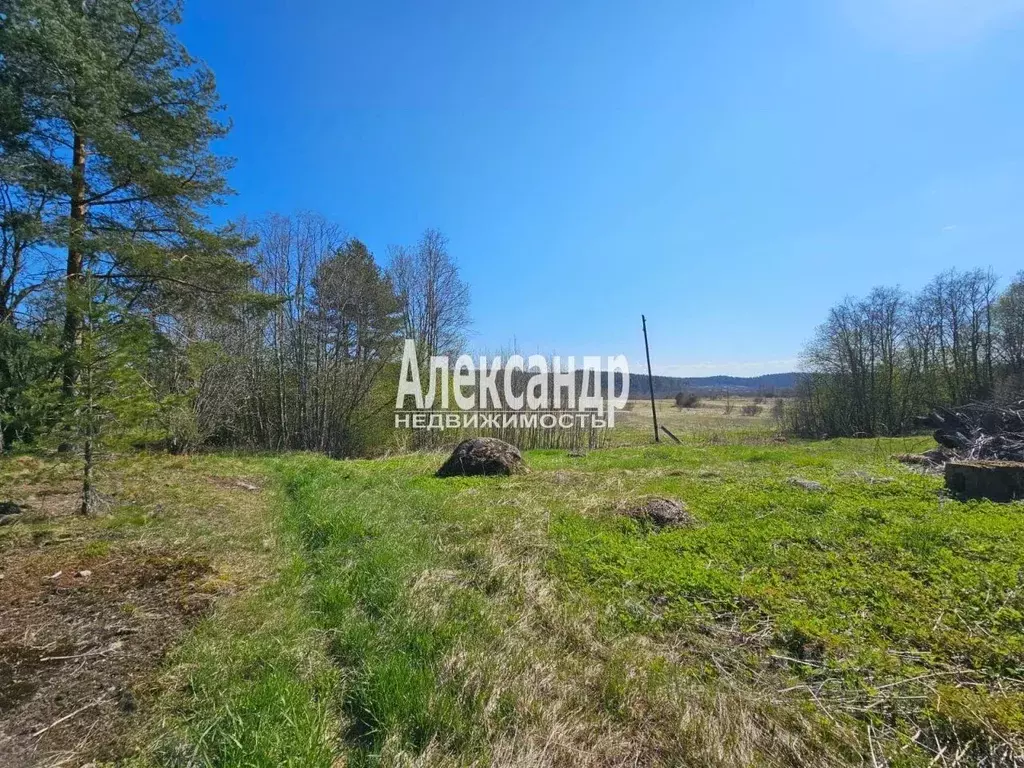 Участок в Карелия, Лахденпохский муниципальный округ, пос. ... - Фото 1