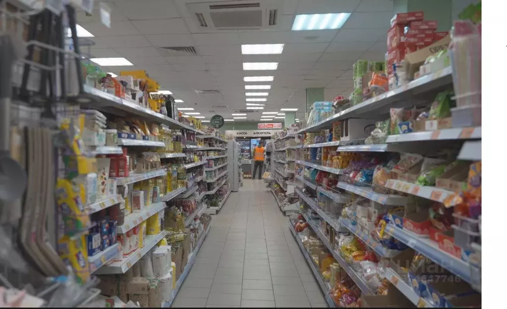 Торговая площадь в Московская область, Солнечногорск Красная ул., 120 ... - Фото 2