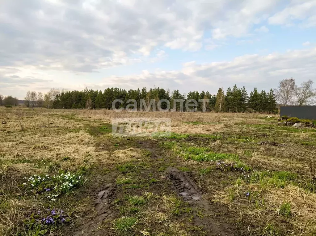 Участок в Челябинская область, Красноармейский муниципальный округ, с. ... - Фото 1