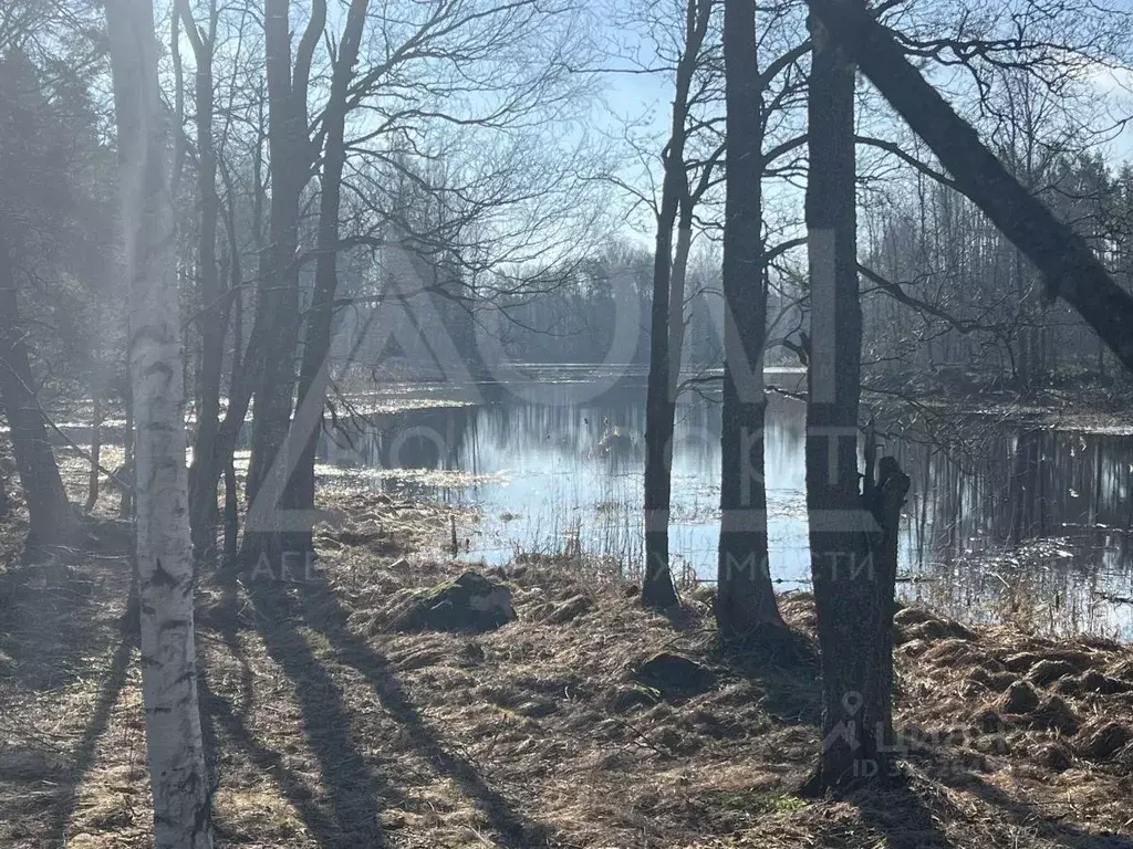 Участок в Ленинградская область, Приозерский район, Мельниковское ... - Фото 1
