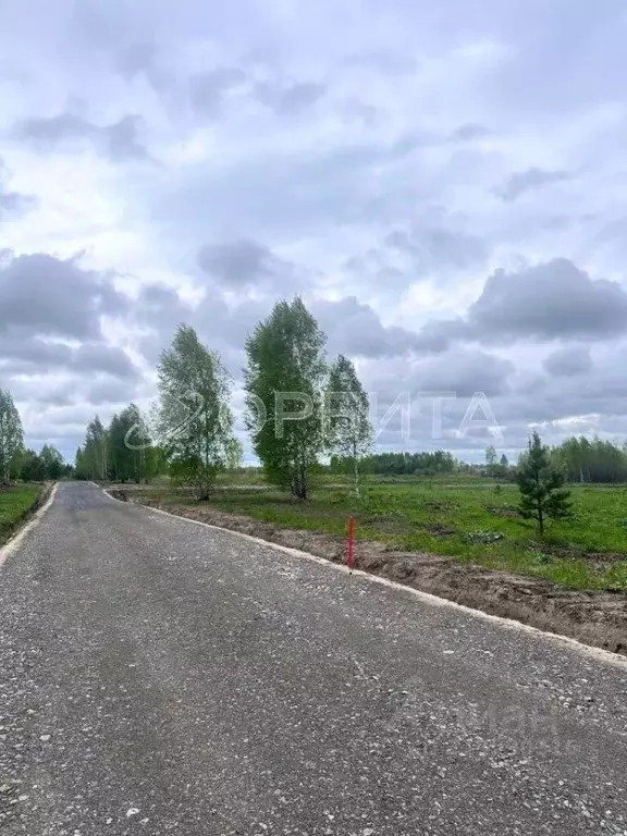 Участок в Тюменская область, Нижнетавдинский район, Сундукуль СНТ ул. ... - Фото 0