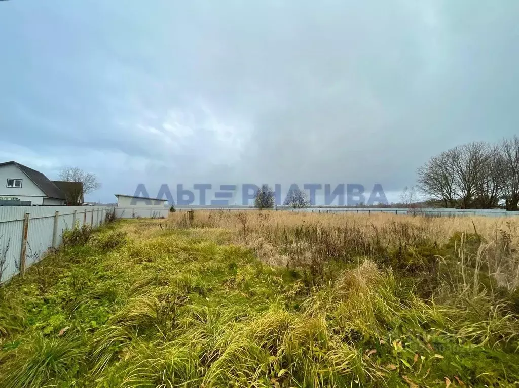 Участок в Ярославская область, Переславль-Залесский муниципальный ... - Фото 2