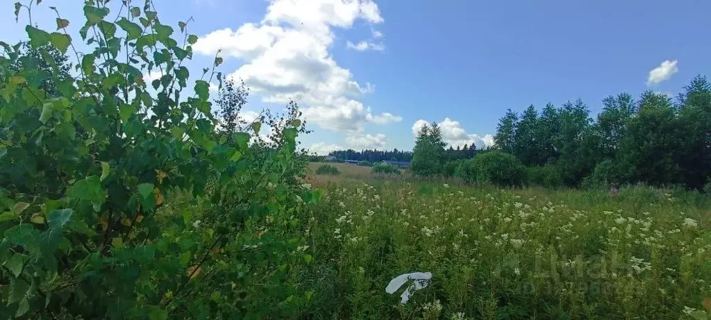 Участок в Московская область, Клин городской округ, Вельга Парк кп  ... - Фото 1