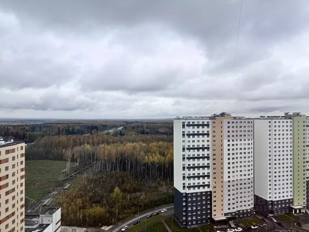 Студия Санкт-Петербург ул. Пейзажная, 30 (20.5 м) - Фото 1