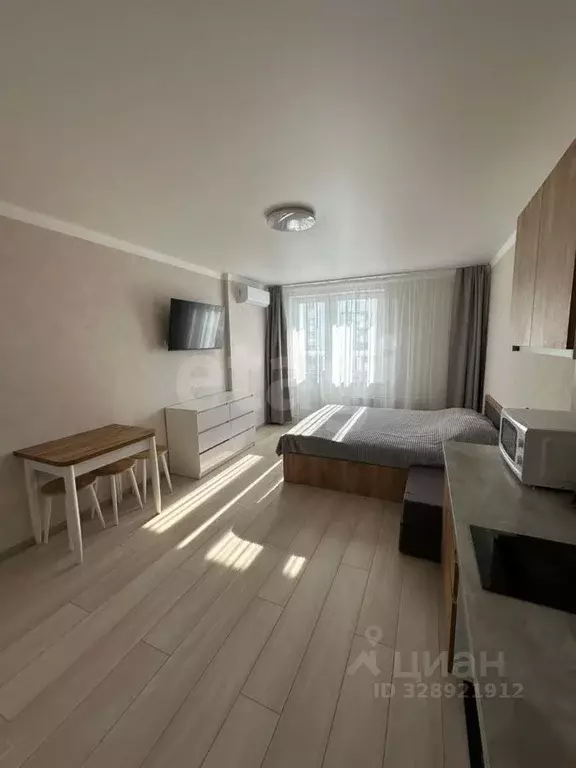 Студия Краснодарский край, Анапа ул. Ленина, 235 (23.9 м) - Фото 2