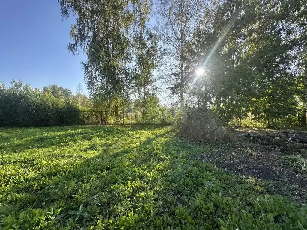 Участок в Новосибирская область, Искитимский район, пос. Мичуринский ... - Фото 2