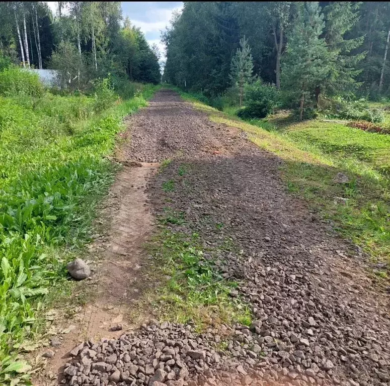 Участок в Ленинградская область, Волховский район, Кисельнинское ... - Фото 0