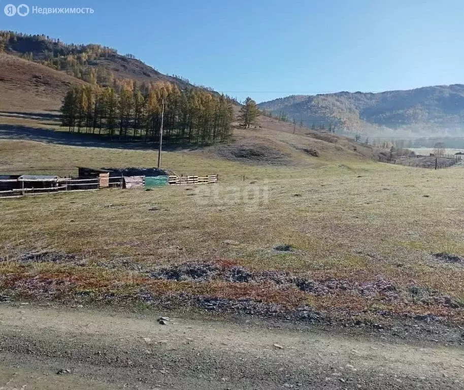 Участок в село Шебалино, улица 65 лет Победы (14.9 м) - Фото 0