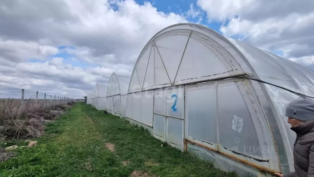 Участок в Крым, Черноморский район, Окуневское с/пос, с. Знаменское ... - Фото 1