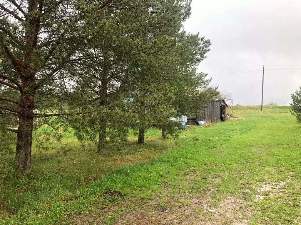 Участок в Ленинградская область, Тосненский район, Любанское городское ... - Фото 1