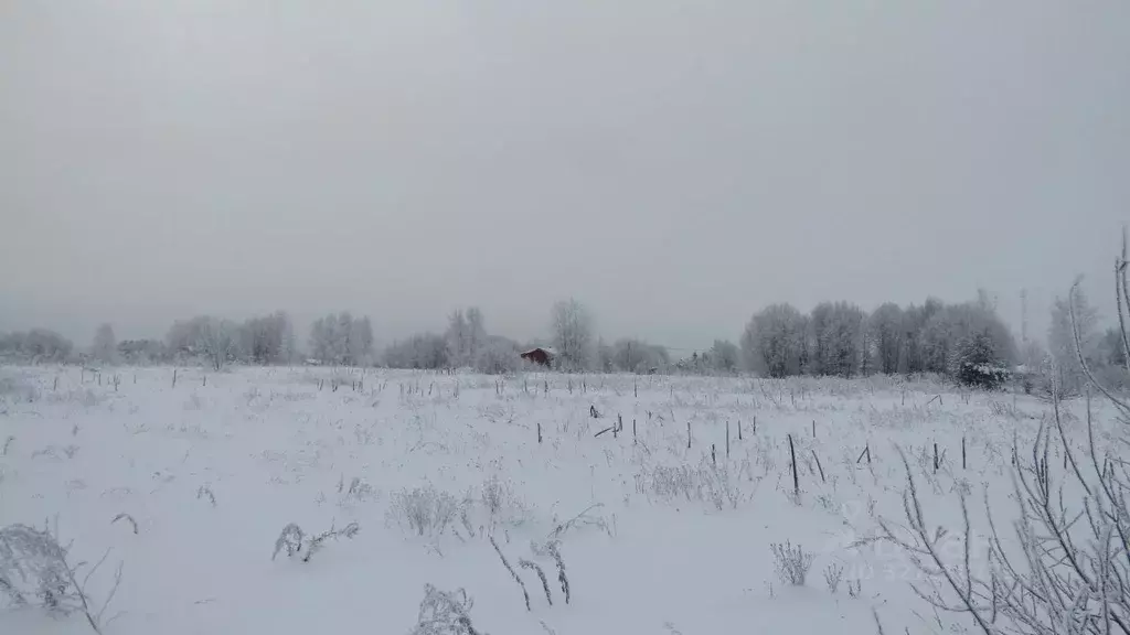 Участок в Московская область, Рузский муниципальный округ, д. Ватулино ... - Фото 1