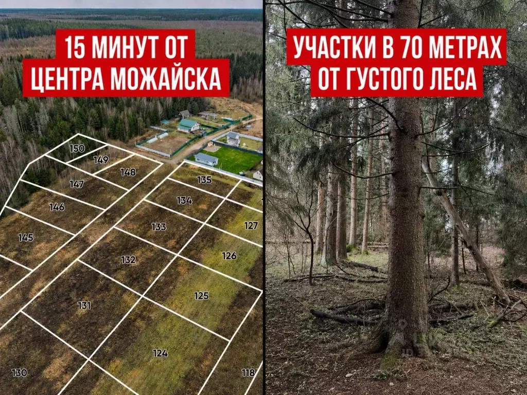 Участок в Московская область, Можайский муниципальный округ, д. ... - Фото 1