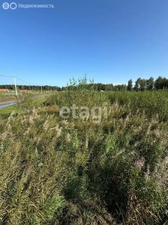 Участок в Томский район, ДНП Слобода Вольная (7.42 м) - Фото 1