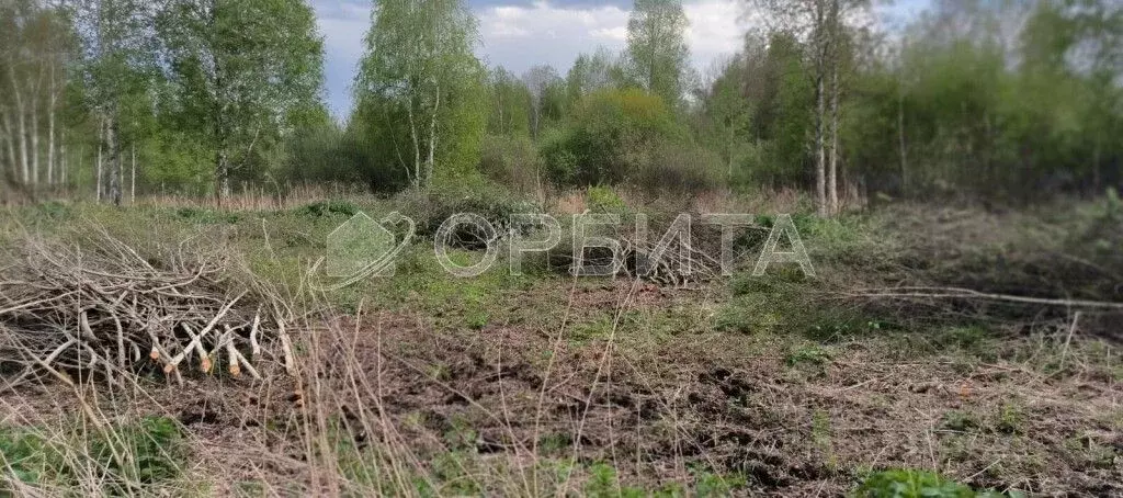 Участок в Тюменская область, Нижнетавдинский район, Фортуна СТ ул. 7-я ... - Фото 0