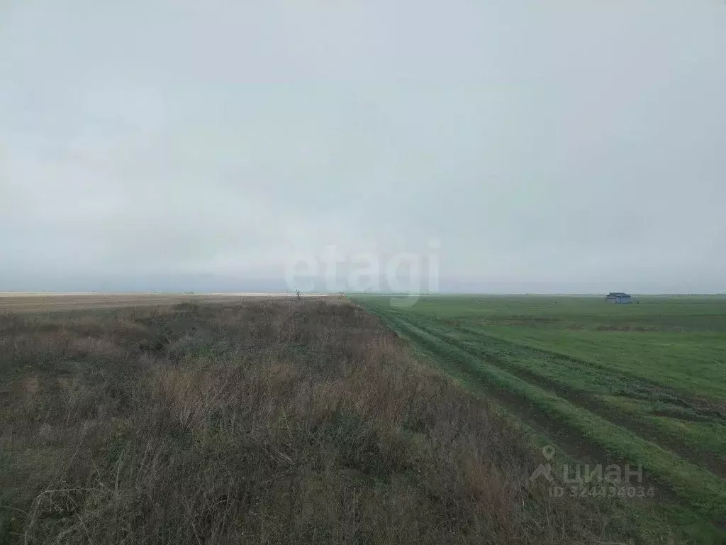 Участок в Крым, Ленинский район, Семисотское с/пос, с. Каменское пер. ... - Фото 1