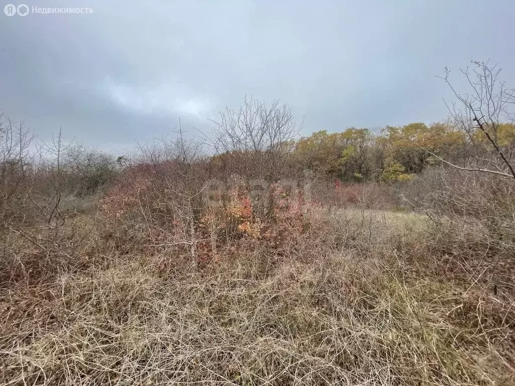 Участок в Первомайское сельское поселение, СНТ Заря, Лесной переулок ... - Фото 2