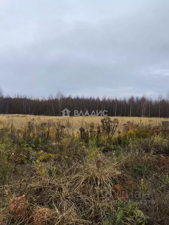 Участок в Нижегородская область, Нижний Новгород 2-я стройка СНТ,  ... - Фото 2