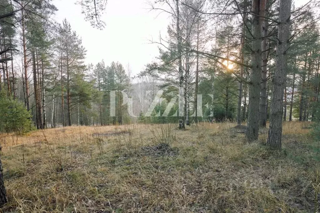 Участок в Ленинградская область, Всеволожский район, Бугровское ... - Фото 1