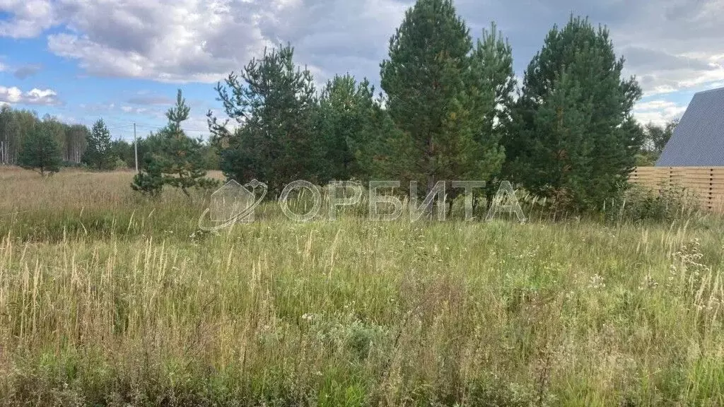 Участок в Тюменская область, Нижнетавдинский район, Царицыно СНТ  ... - Фото 0