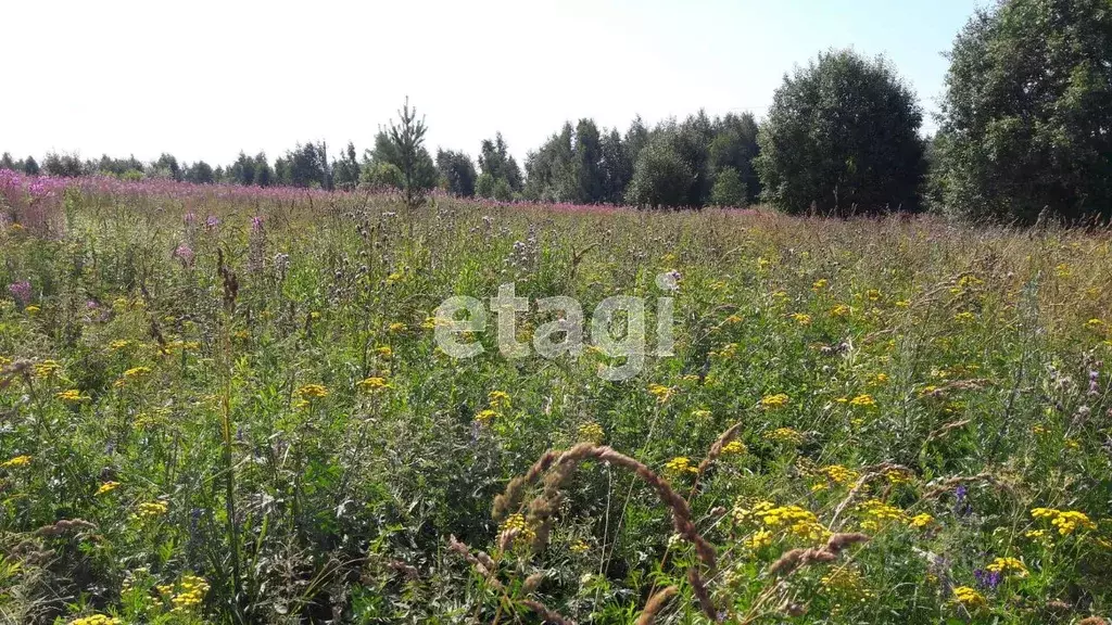 Участок в Вологодская область, Череповецкий район, д. Горка ... - Фото 2