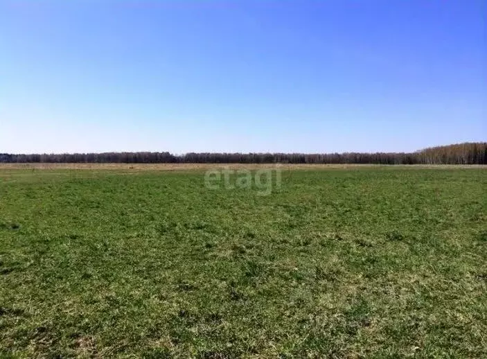 Участок в Волгоградская область, Городище рп ул. Имени Левитана, 17 ... - Фото 1