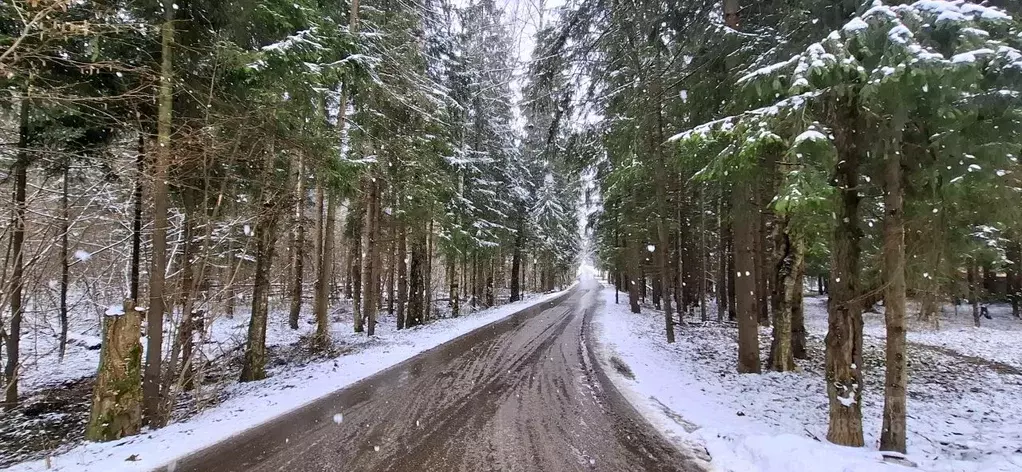 Участок в Московская область, Одинцовский городской округ, Горицвет ... - Фото 0