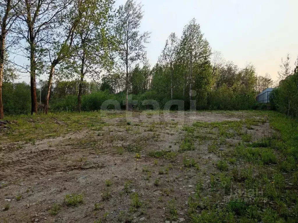 Участок в Вологодская область, Череповец 36-й мкр,  (8.0 сот.) - Фото 1