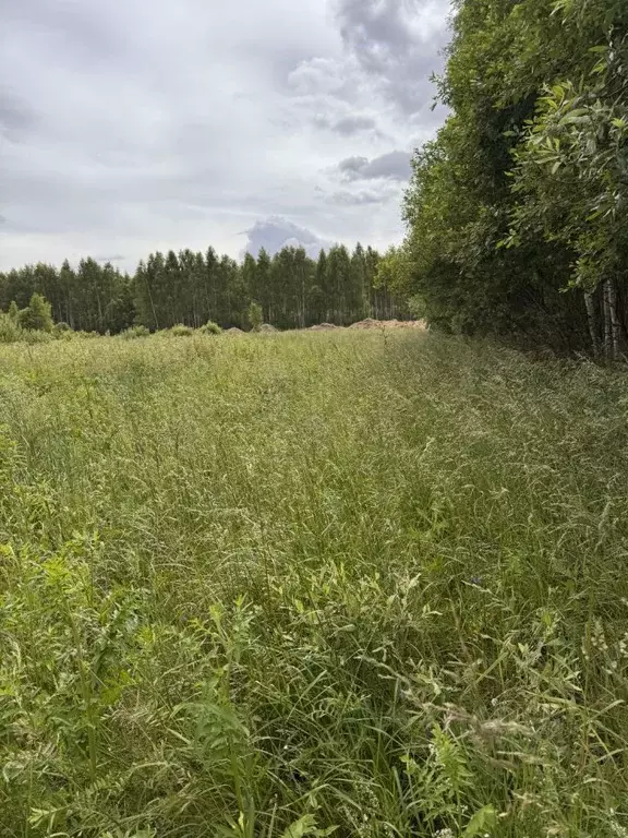 Участок в Ярославская область, Рыбинский муниципальный округ, с. ... - Фото 1