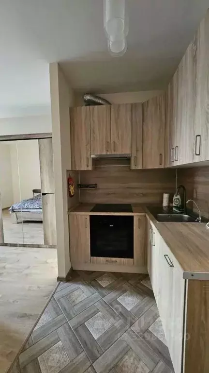 Студия Санкт-Петербург просп. Просвещения, 43 (31.0 м) - Фото 1