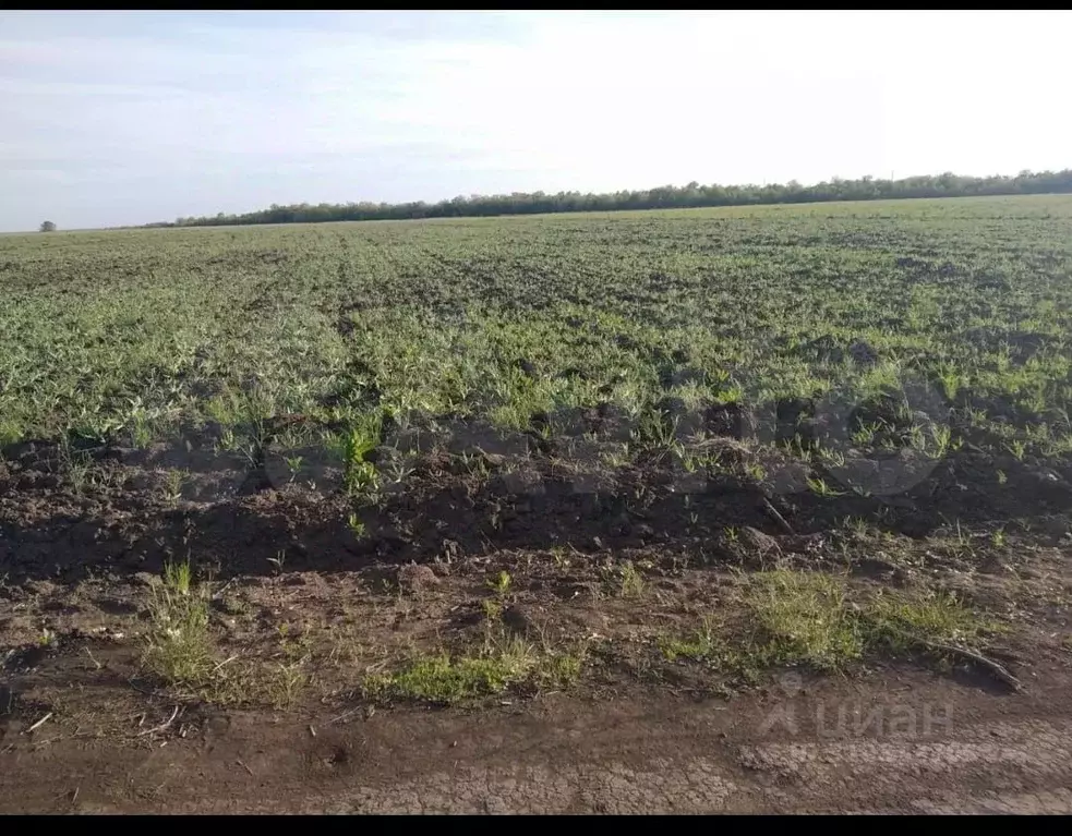 Участок в Саратовская область, Энгельс  (408.89 сот.) - Фото 1