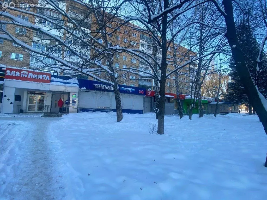 Помещение свободного назначения (265 м) - Фото 1