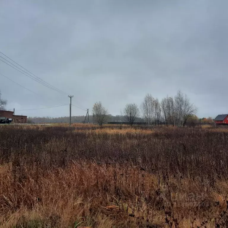 Участок в Московская область, Ступино городской округ, с. Куртино  ... - Фото 0