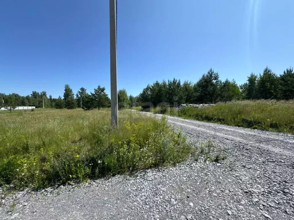 Участок в Новосибирская область, Искитимский район, с. Быстровка  ... - Фото 0