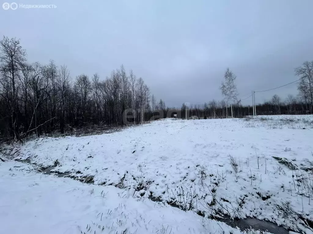 Участок в Архангельская область, Приморский муниципальный округ, ... - Фото 2