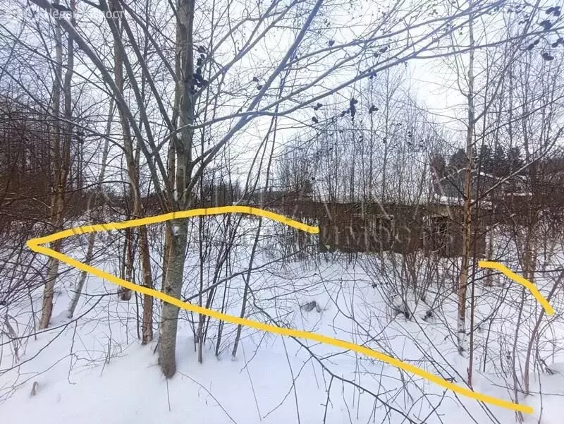 Участок в Выборгский район, Советское городское поселение, посёлок ... - Фото 2