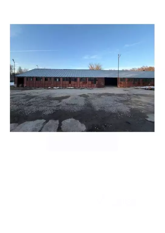 Помещение свободного назначения в Новосибирская область, Новосибирский ... - Фото 1