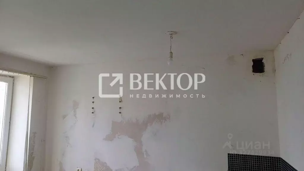 Студия Ивановская область, Кохма Просторный мкр, 10 (28.0 м) - Фото 2