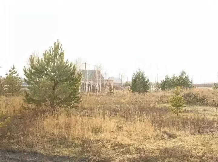 Участок в Тюменская область, Ялуторовск ул. Генерала Уварова (10.0 ... - Фото 0